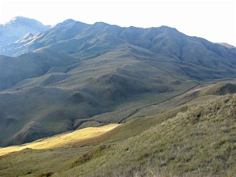 Open Grasslands Philippines .